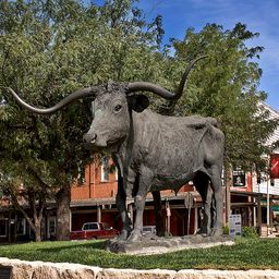 Dodge City