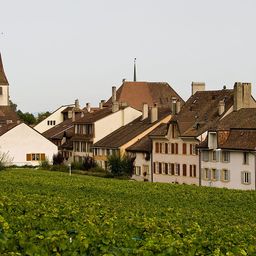 Auvernier