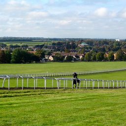 Newmarket