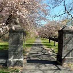 Nutley