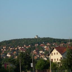 Topola
