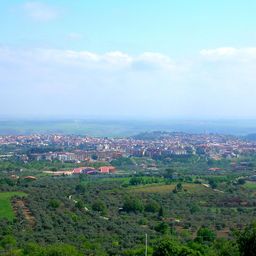 Venosa