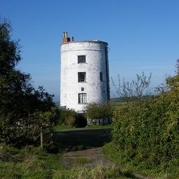 Walton