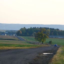 Bilyi Kamin