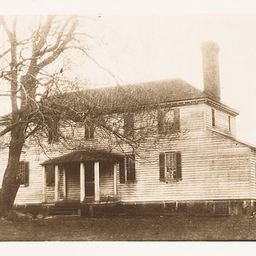 Chestnut Grove