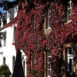 Horton, Northamptonshire